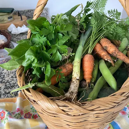 Casa Da Torre 3* Luz de Tavira